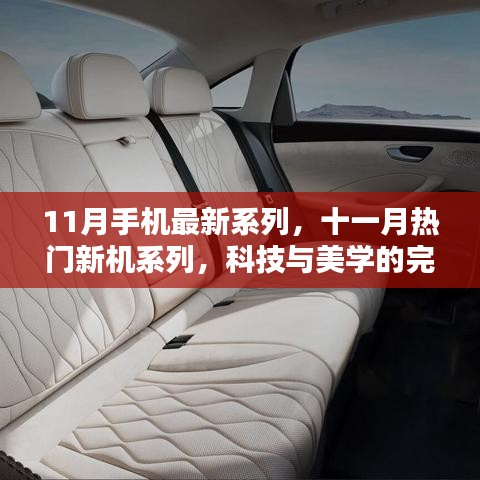 联系我们 第278页