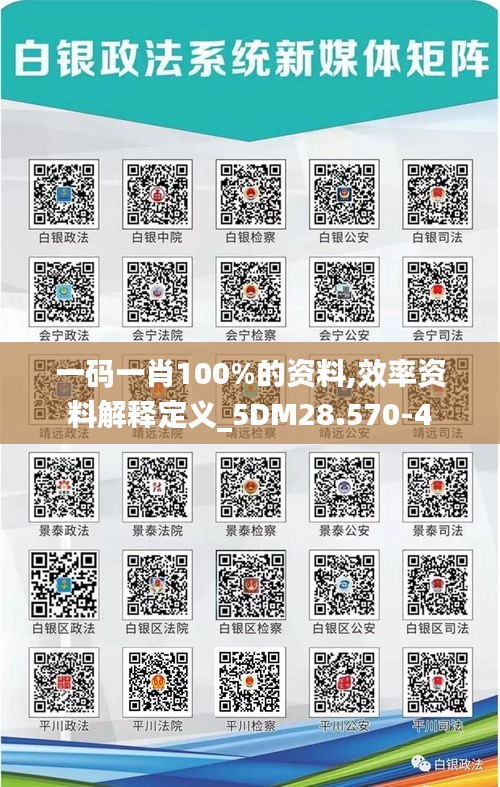 一码一肖100%的资料,效率资料解释定义_5DM28.570-4