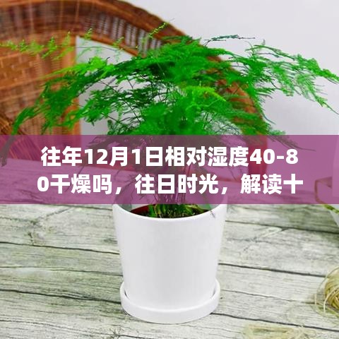 风华绝代 第3页