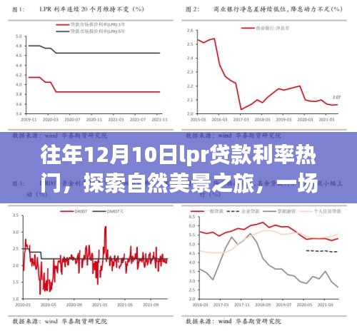 自然美景探索 第3页
