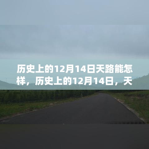 粗枝大叶 第2页