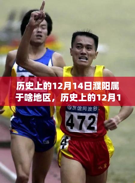 尊道贵德 第2页