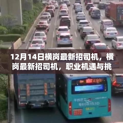 职业机遇
