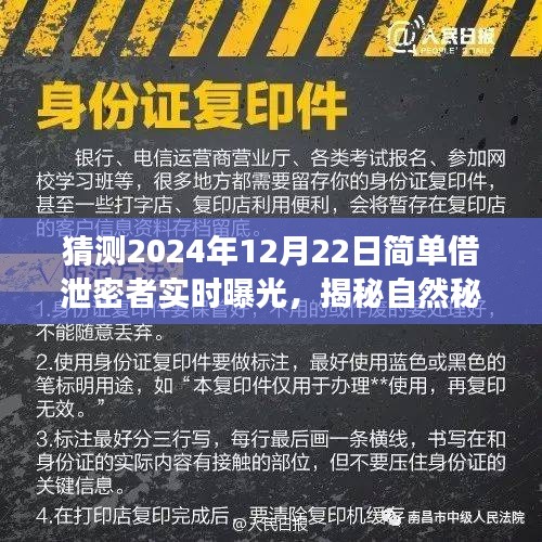 碧瓦飞甍 第2页