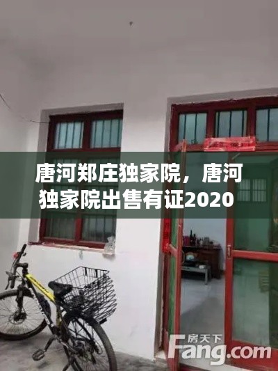 百鸟齐鸣 第2页