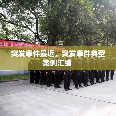 张王李赵 第2页