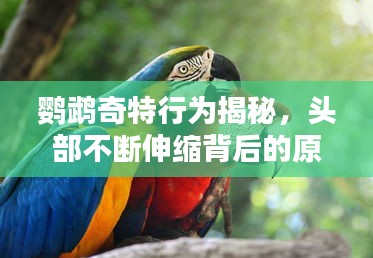 热门游戏 第41页