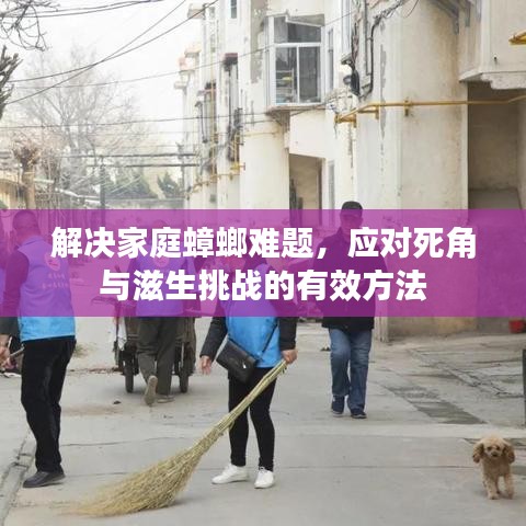 解决家庭蟑螂难题，应对死角与滋生挑战的有效方法
