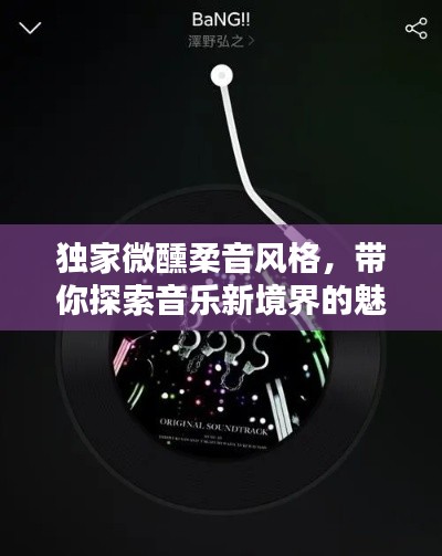 独家微醺柔音风格，带你探索音乐新境界的魅力