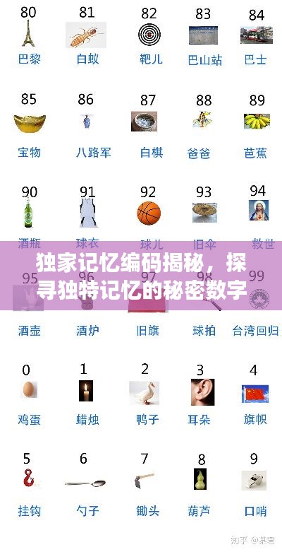 鸟声兽心