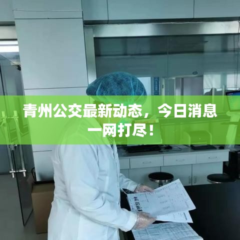 青州公交最新动态，今日消息一网打尽！