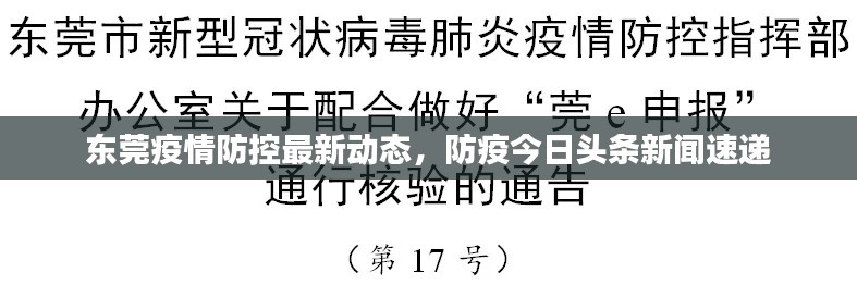 东莞疫情防控最新动态，防疫今日头条新闻速递
