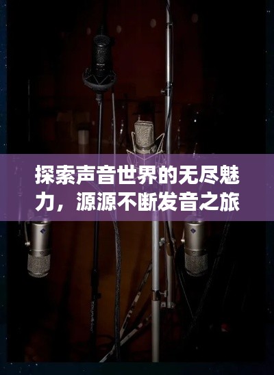 笃实好学