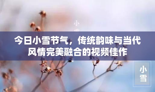 今日小雪节气，传统韵味与当代风情完美融合的视频佳作