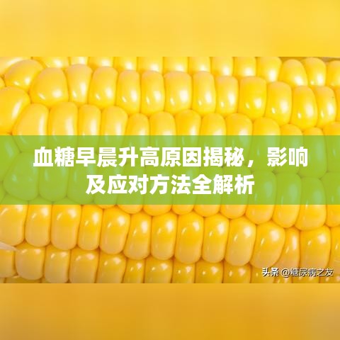 血糖早晨升高原因揭秘，影响及应对方法全解析