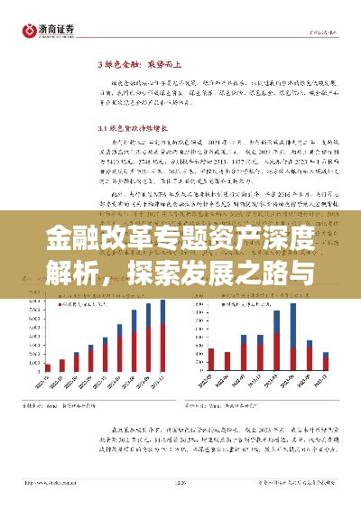 金融改革专题资产深度解析，探索发展之路与未来展望