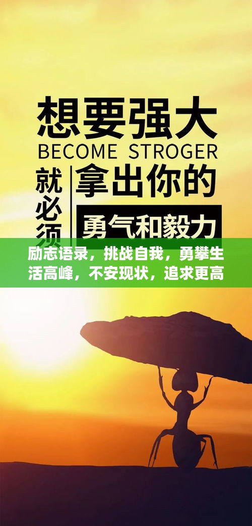 励志语录，挑战自我，勇攀生活高峰，不安现状，追求更高境界