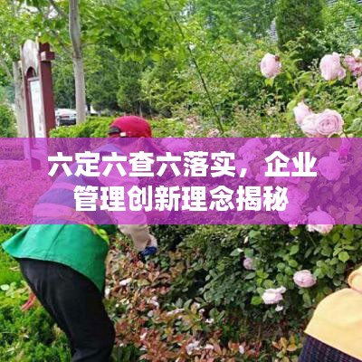 六定六查六落实，企业管理创新理念揭秘