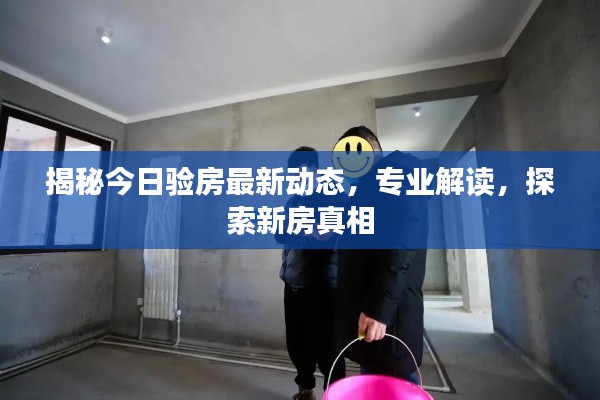 揭秘今日验房最新动态，专业解读，探索新房真相