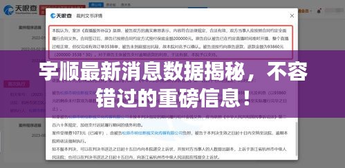 宇顺最新消息数据揭秘，不容错过的重磅信息！