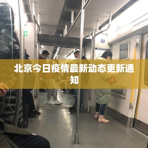 北京今日疫情最新动态更新通知