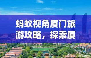 蚂蚁视角厦门旅游攻略，探索厦门之美