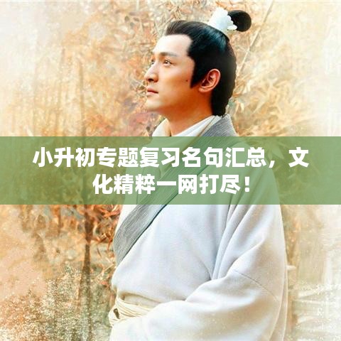 小升初专题复习名句汇总，文化精粹一网打尽！